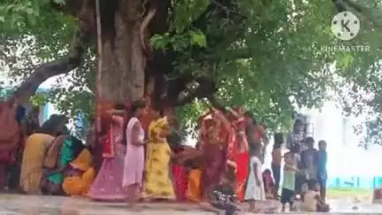 अलौली: अलौली में सुहागिन महिलाओं ने पति की लंबी आयु के लिए किया वट सावित्री व्रत