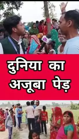 दुनिया का अजूबा पेड़ 😱