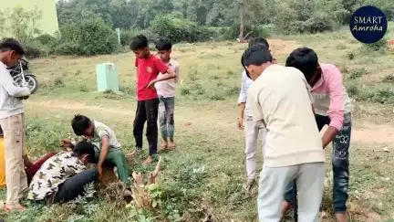 80 पौधे सारे आज लगा दिए “ smart Amroha foundation “ आप भी इस मोहिम का हिस्सा बन सकते हैं 

#smartamroha #पौधे #tree #amroha
