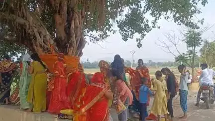 अकोढ़ी गोला: पति की दीर्घायु के लिए सुहागिनों ने अकोढ़ी में रखा वट सावित्री व्रत, दिखी आस्था