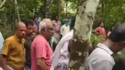 പത്തനാപുരം: പട്ടാഴിയിൽ റബർ പുരയിടത്തിൽ മരം വീണ് ഗൃഹനാഥന് ദാരുണാന്ത്യം