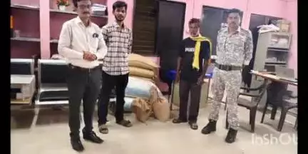 अहेरी: भाताच्या पिशवी मधून होत असलेली अनधिकृत एचटीबीटी कापूस जप्त कृषी विभागाची कारवाई एफ आय आर दाखल