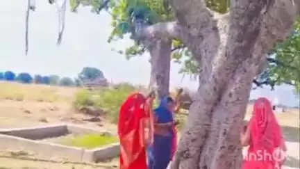 रायपुर कर्चुलियान: सौभाग्यवती महिलाओं ने पति की लंबी उम्र के लिए वट सावित्री का व्रत रखा