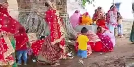 डंडई: वट सावित्री व्रत: बरगद तले सज-धज कर पहुंची सुहागिनें, पति की लंबी उम्र के लिए मांगी दुआएं