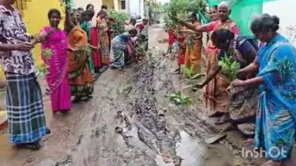 மதுரை வடக்கு: முத்தாலம்மன் கோவில் தெருவில் ரோட்டையை காணும் சாலையில் பூச்செடிகளை நட்டு வைத்து நூதன போராட்டத்தில் ஈடுபட்ட பெண்கள் #localissue
