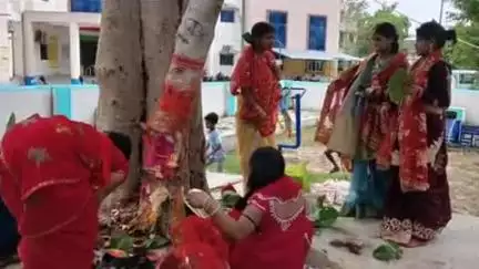 बेलछी: बेलछी प्रखंड में सुहागिन महिलाओं ने वट सावित्री की पूजा कर पति की लंबी आयु की कामना की