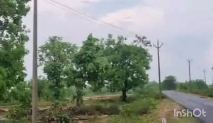 सोनहत: तंजरा में साल भर से विद्युतीकरण कार्य ठप्प होने से ग्रामीणों में भारी नाराजगी
