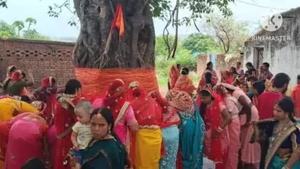 मांडर: सुहागिन महिलाओं ने अखंड सौभाग्य के लिए की वट सावित्री पूजा