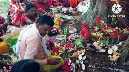 गोबिंदपुर राजनगर: राजनगर क्षेत्र में सुहागिनों ने पति की दीर्घायु के लिए की वट सावित्री की पूजा