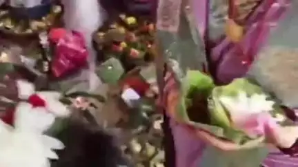 ସୋହେଲା: ବେହେରାପାଲି ଗ୍ରାମ ସମେତ ସୋହେଲା ବ୍ଲକ ର ବିଭିନ୍ନ ଗ୍ରାମରେ ଆଜି ମାଁ ଭଉଣୀ ସାବିତ୍ରୀ ମହାସମାରୋହରେ ପାଳନ କଲେ