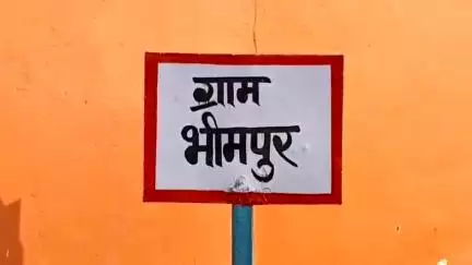 नरवर: नरवर तहसील के भीमपुर गांव में आसमानी बिजली गिरने से 12 भेड़-बकरियों की मौत, 5 घायल