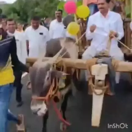 ಸಿದ್ಧಾಪುರ: ಬೇಡ್ಕಣಿಯಲ್ಲಿ ಚಕ್ಕಡಿ ಗಾಡಿ ಓಡಿಸಿ ಗಮನ ಸೆಳೆದ ಶಾಸಕ ಭೀಮಣ್ಣ ನಾಯ್ಕ
