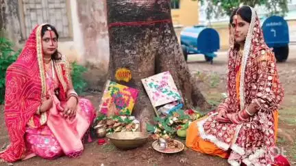 लिट्टीपाड़ा: लिट्टीपाड़ा प्रखंड में वट सावित्री पूजा, सुहागिन महिलाओं ने वट वृक्ष की पूजा कर पति की लंबी उम्र की कामना की