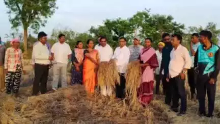 आरमोरी: आमदार रामदास मसराम यांनी पळसगाव पाथरगोटा जोगीसाखरा नवरगाव भागातील नुकसानग्रस्त शेतीची केली पाहणी