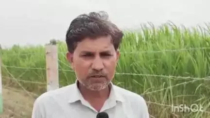 દિયોદર: દિયોદર તાલુકામાં વાતાવરણમાં પલટો આવતા આવતા ખેડૂતો આપી પ્રતિક્રિયા..