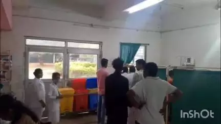 वाड्रफनगर: वाड्रफनगर चौकी क्षेत्र में वट पूजा के दौरान मधुमक्खियों ने बच्चों और महिलाओं पर किया हमला