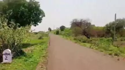 खाचरौद: सरकार की महत्वपूर्ण योजना गौ-सेवा धरातल पर जिम्मेदारो की लापरवाही से दम तोड़ रही । 
#jansamasya