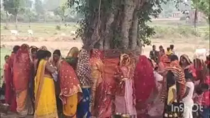 हेरहंज: हेरहंज प्रखंड क्षेत्र में सुहागिन स्त्रियों ने धूमधाम से की बट वृक्ष की पूजा