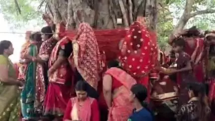सहार: सहार में बट सावित्री पूजा पर उमड़ी सुहागिनों की भीड़, वटवृक्ष के नीचे पति की लंबी आयु के लिए पूजा-अर्चना