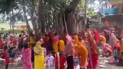 सेन्हा: प्रखंड क्षेत्र में सुहागिनों ने धूमधाम से मनाया वट सावित्री व्रत का पर्व