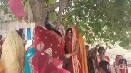 गुरारू: प्रखंड के बाजारों और गांवों में वट सावित्री पूजा का आयोजन, महिलाओं ने वट वृक्ष की पूजा की