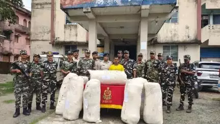 कुरसाकांटा: SSB और कुर्साकांटा पुलिस की संयुक्त कार्रवाई में 289 किलो गांजा बरामद, एक आरोपी को किया गया गिरफ्तार