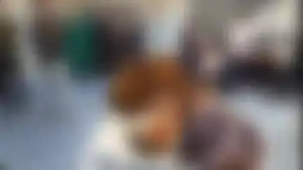 सिलाव: तेतरिया गांव में छेड़खानी का विरोध करने पर गोतिया के बीच मारपीट, दोनों पक्षों के 6 लोग घायल