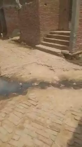 कासगंज: नगला चमन में नालियों व गांव के रास्तों का कोई विकास नहीं 10 सालों से ऐसा ही पड़ा