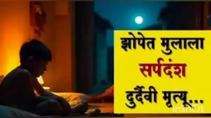 झरी जामणी: मुकुटबन येथे रात्री झोपेत सर्पदंश झालेल्या उपचारादरम्यान मुलाचा मृत्यू