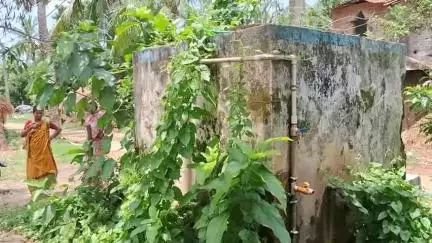 ইলামবাজার: ক্ষুদ্রপুর কলোনি পাড়ায় বিকল সাবমারসিবল, জল সংকটে প্রায় 8টি পরিবার #jansamasya