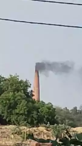 उ प्र प्रतापगढ पट्टी वेलसंडी गांव में विजेंद्र गुप्ता द्वारा सरकारी भूमि पर अवैध बाराही ईंट उद्योग का संचालन जारी