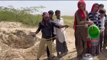 चितलवाना: चितलवाना के नेहड़ क्षेत्र में छोटी-छोटी बेरिया खोदकर मटमैला पानी को मजबूर हैं लोग #जनसमस्या #पानी