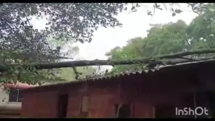 कणकवली: कणकवलीत वादळी पाऊस : जानवली येथे घरावर झाड कोसळले #jansamasya