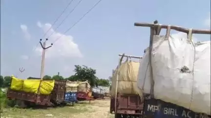 जलेसर: बरसात की वजह से प्रभावित हुई चकोरी की खरीद, गांव लालपुर समीप चकोरी प्लांट हुआ बंद,DM से किसानों ने लगाई गुहार #Jansamasy