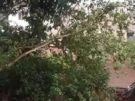 roza purane khedi 27
Sunil Kushwah