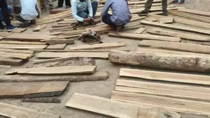 परसवाड़ा: वन विभाग ने ग्राम कुकड़ा में सर्च के दौरान भारी मात्रा में सागोन की 68 चिरान ज़ब्त की