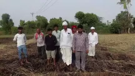 રાધનપુર: મેમદાવાદ ગામે ઘાસચારાના પુળામાં આગ લાગતા 500 પૂળા બળીને ખાખ, શોર્ટ સર્કિટ થતા બની ઘટના