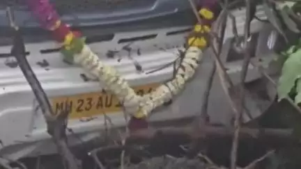 जावळी: कास परिसरातील भांबवली येथे मिनीबस दरीत कोसळली; चार ते पाच पर्यटक जखमी, चालकाच्या प्रसंगावधनामुळे मोठा अपघात टळला
