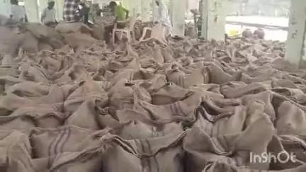 उनियारा: अलीगढ़ में समर्थन मूल्य पर फसल बेचने को लेकर किसानों ने नहीं दिखाई रुचि, महज 1800 कट्टों की हुई खरीद
