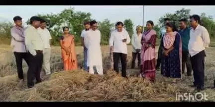 आरमोरी: आमदार रामदास मसराम यांनी केली अवकाळी पावसामुळे नुकसान ग्रस्त शेतकऱ्यांच्या पिकाची पाहणी