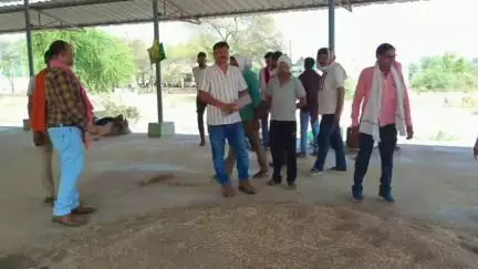 चंदला: कृषि उपज मंडी चंदला में नीलामी कार्य हुआ संपन्न, व्यापारियों को मिले गोदाम