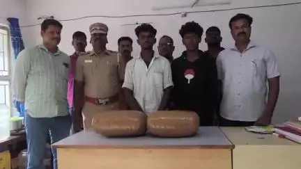 பொன்னேரி: ஆந்திராவில் இருந்து பேருந்தில் கஞ்சா கடத்தி வந்த சிவகாசியை சேர்ந்த 2 பேர் கைது