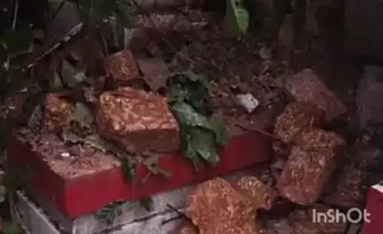 വടകര: കനത്ത കാറ്റിലും മഴയിലും മരം കടപുഴകി വീണ് വില്യാപ്പള്ളിയിൽ അമ്പലം പൂർണമായും തകർന്നു
