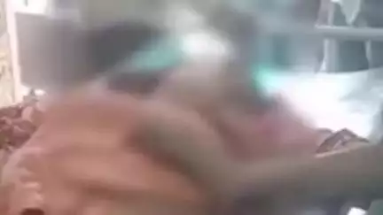 सेवढ़ा: ग्राम मेवली में खेत पर काम कर रही 17 वर्षीय लड़की को सांप ने काटा, इलाज के दौरान मौत, पुलिस ने किया मर्ग कायम