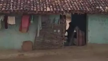 दुधि: मिनी स्टेडियम के निरीक्षण के दौरान मधुमक्खियों के हमले में ग्राम प्रधान समेत 5 लोग घायल, एक की हालत गंभीर