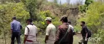 উত্তৰ গুৱাহাটী ভাগ: বাইহাটা চাৰিআলিত দুটা গড়ৰ মুক্ত বিচৰণ,গড় দুটাক ট্ৰেংকুলাইজ কৰাৰ চেষ্টা অব্যাহত ৰাখিছে বন বিভাগৰ লোকে