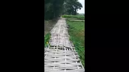 ময়নাগুড়ি: লক্ষীরচর এবং চারের বাড়ির এলাকায় বেহাল বাঁশের সাকো, বাঁশের সাকোর বদলে পাকা সেতুর দাবি জানিয়েছেন বাসিন্দারা #Jansamsya