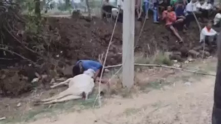 परसवाड़ा: चरेगांव चौकी के भालेवाडा में विद्युत करंट लगने से हुई युवक की मौत, पुलिस ने कराया पोस्टमार्टम