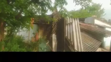 बानो: लचड़ागढ-बानो मुख्य पथ पर घर पर गिरा आम का डाली, प्रखंड प्रशासन से मुआवज़े की मांग
