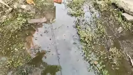 শ্রীরামপুর-উত্তরপাড়া: বৈদ্যবাটি পৌরসভার ২০ নম্বর ওয়ার্ডের সুকান্ত নগর অঞ্চলে দীর্ঘ ৪৫ বছরেরও বেশির কথা জানালেন স্থানীয়রা #jansamasya